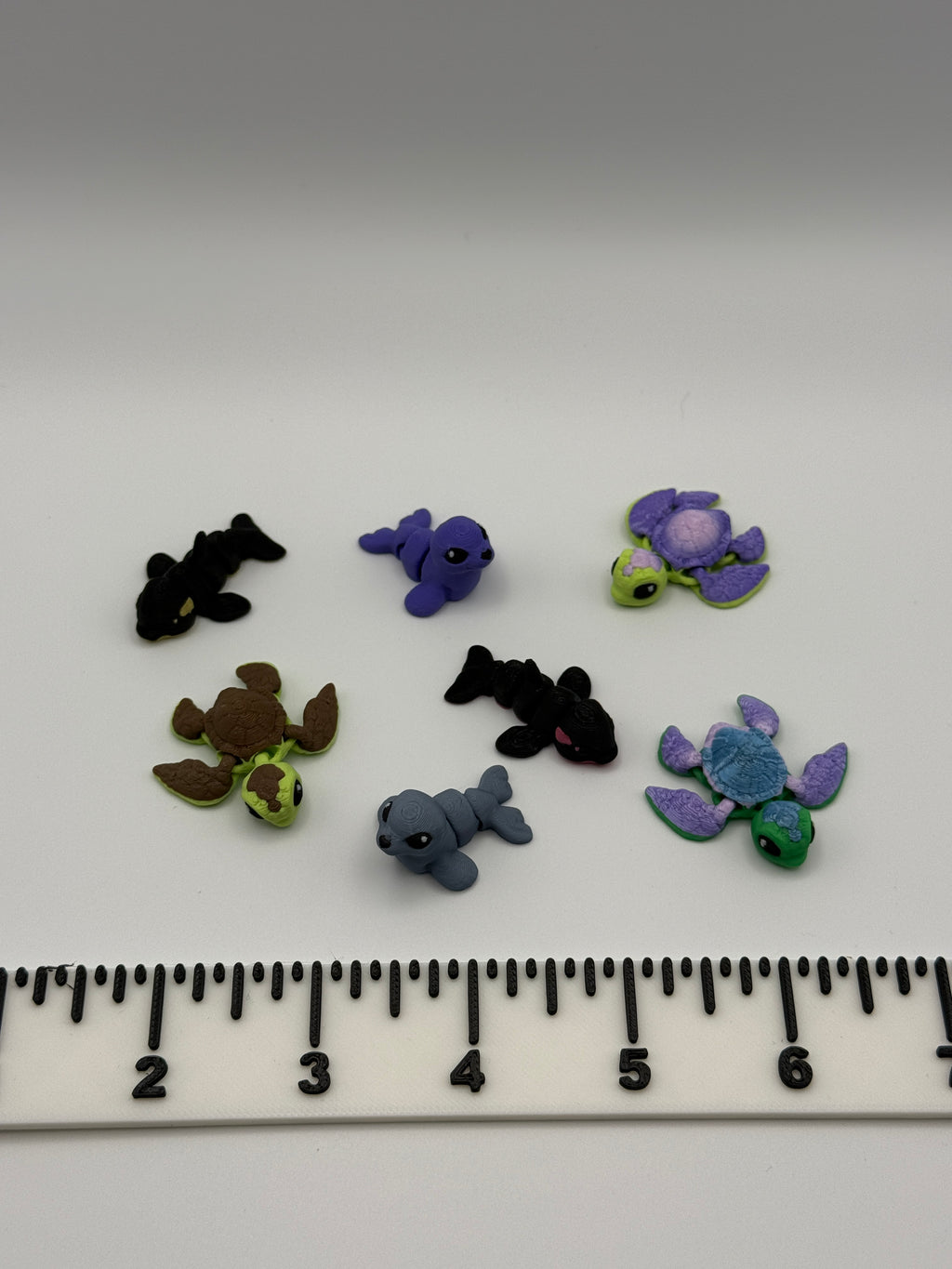 Ocean Animal  Bundle