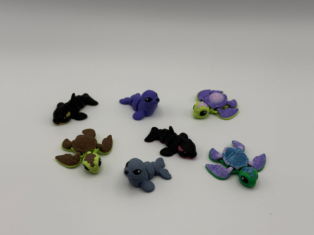 Ocean Animal  Bundle