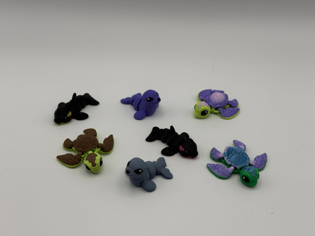 Ocean Animal  Bundle