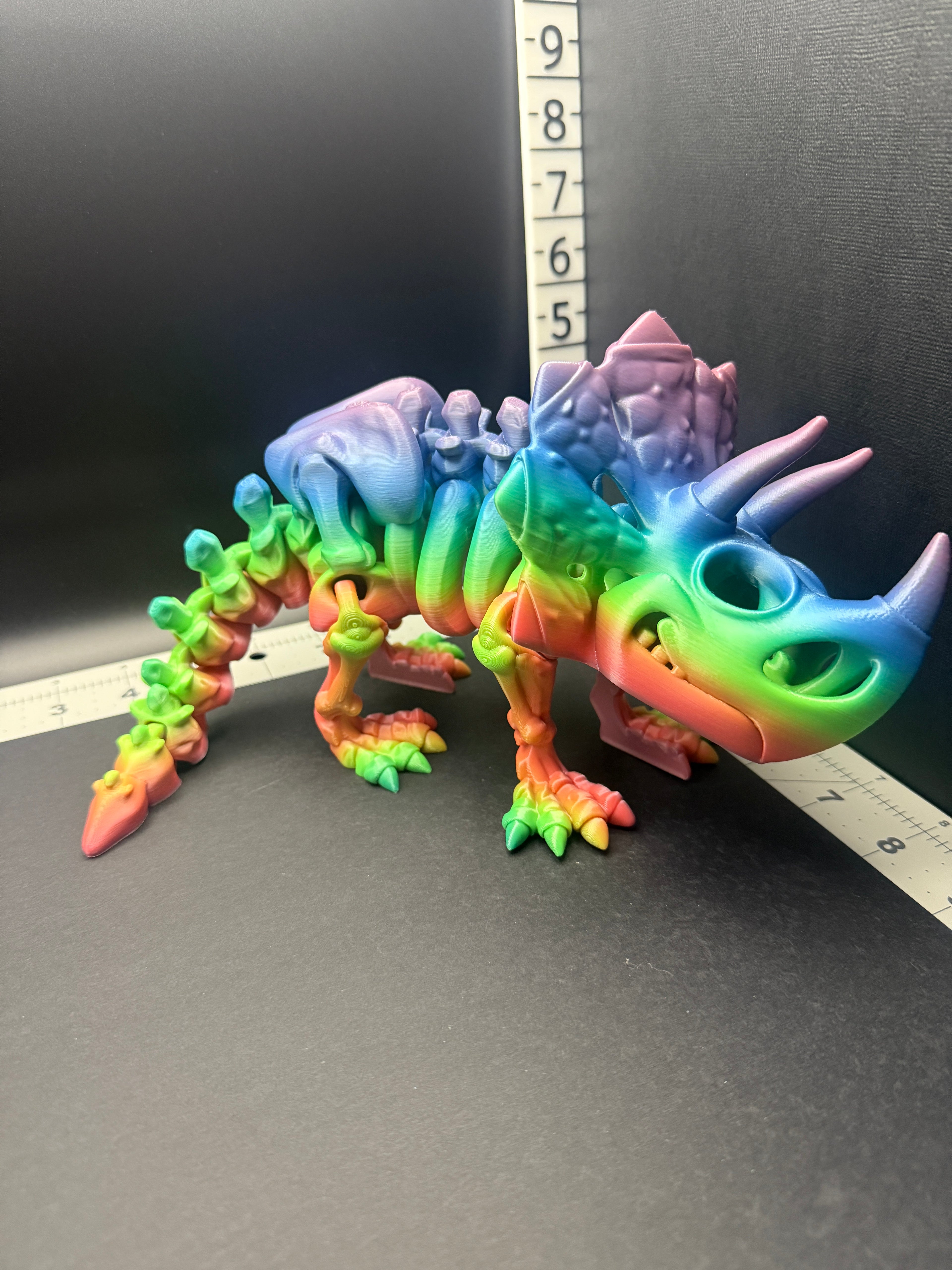 Skeletal Triceratops