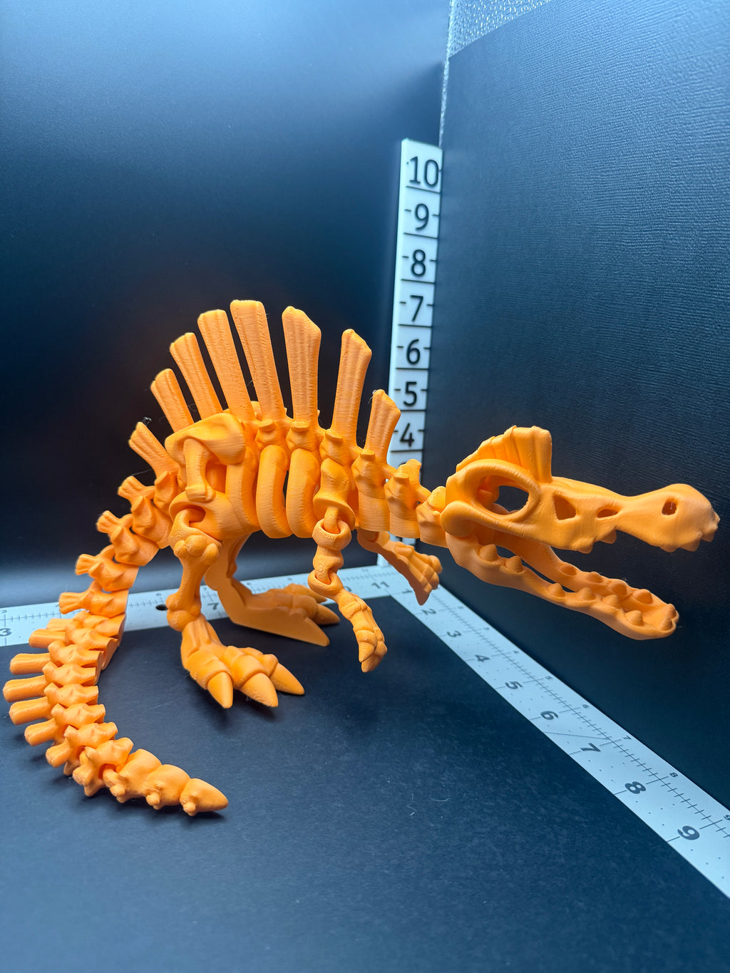 Skeletal Spinosaurus