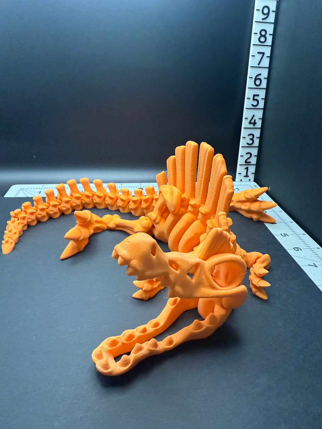 Skeletal Spinosaurus