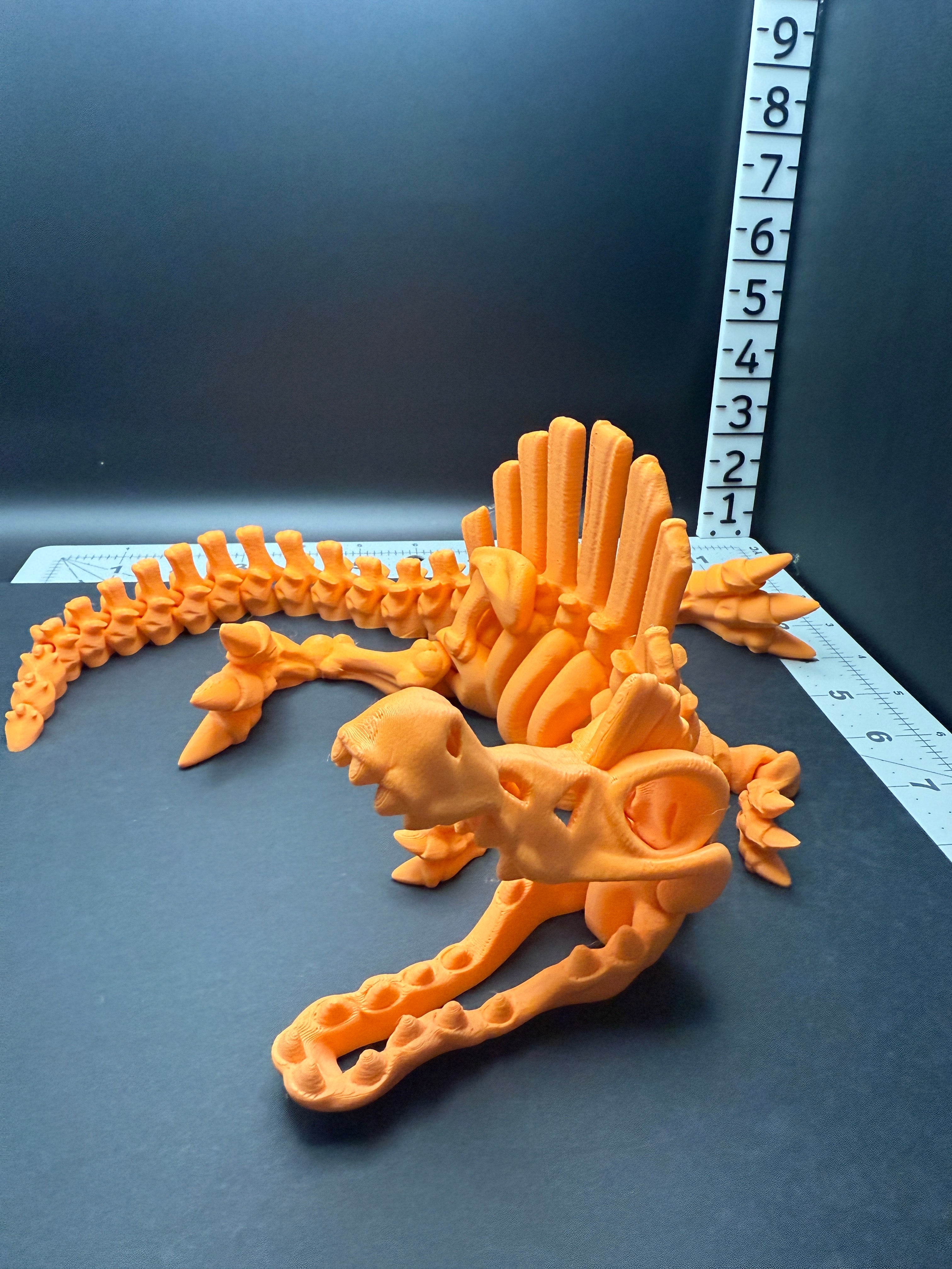 Skeletal Spinosaurus