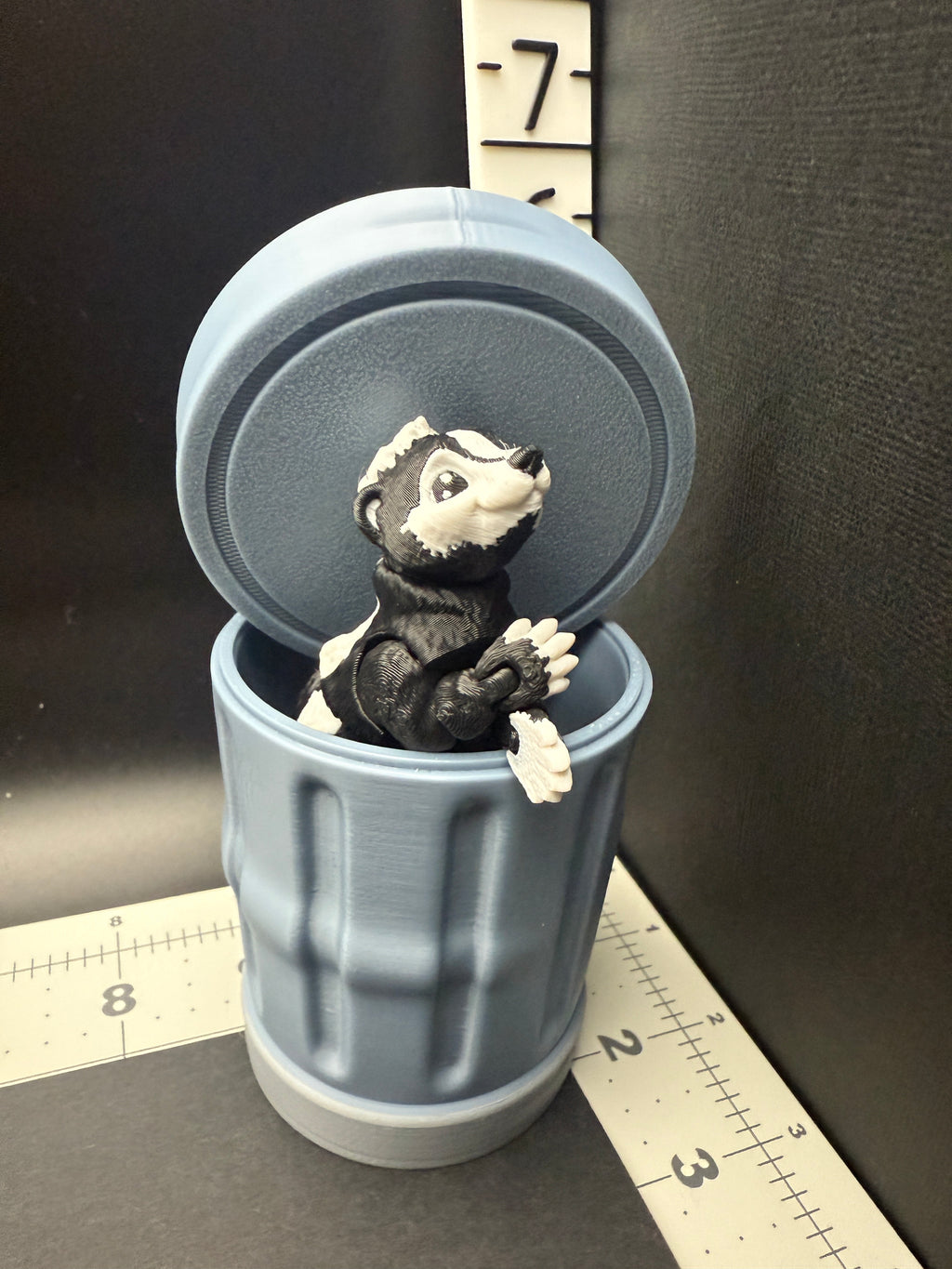 Skunk with Trash Can