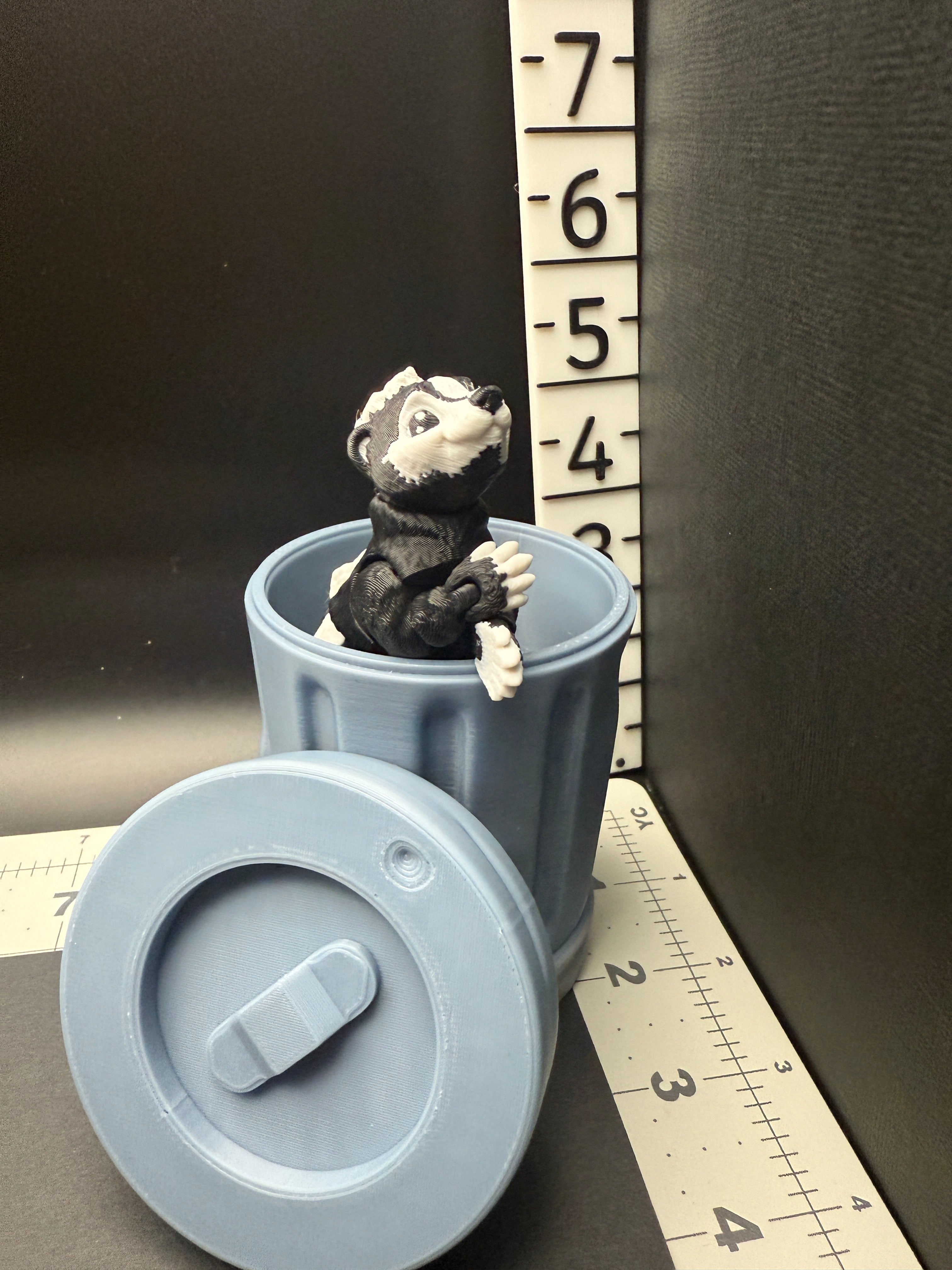 Skunk with Trash Can