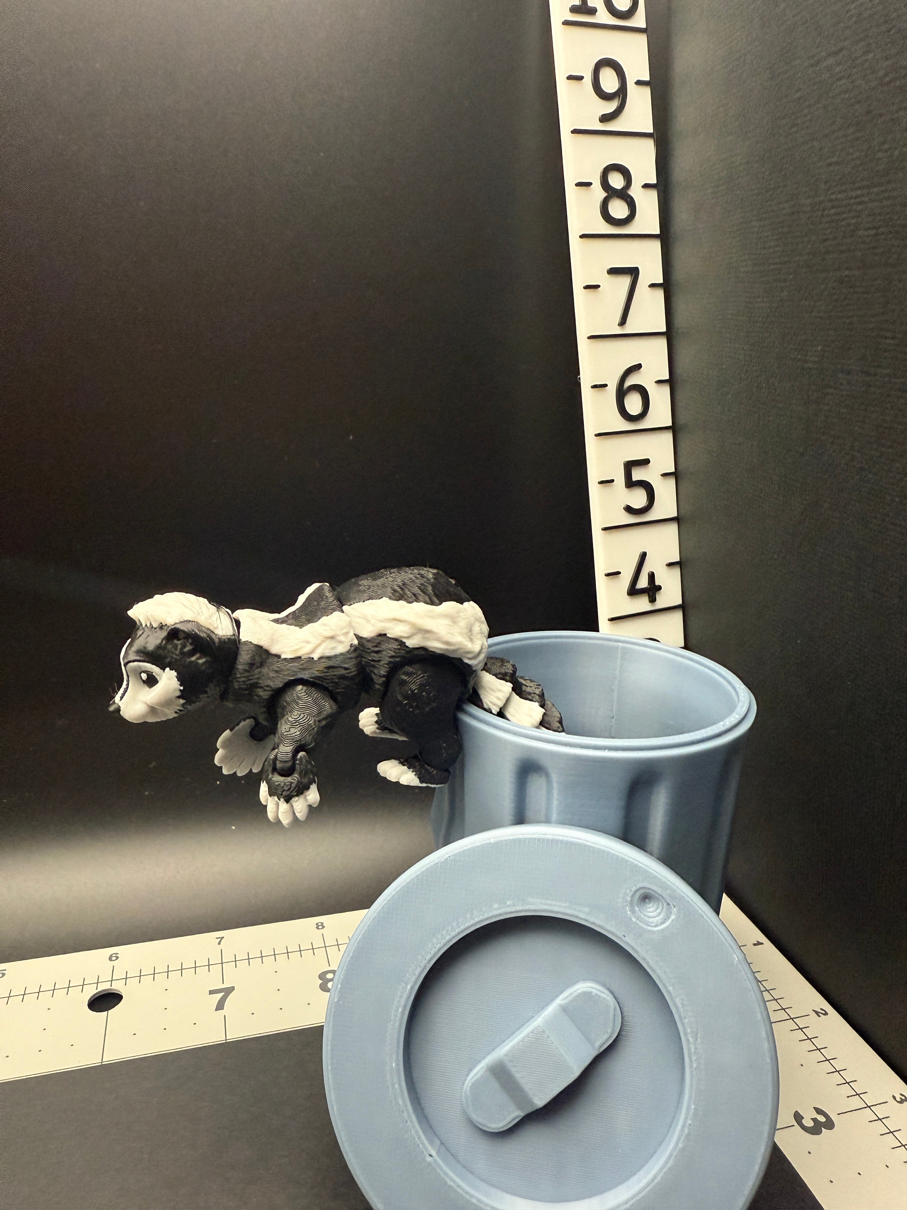 Skunk with Trash Can